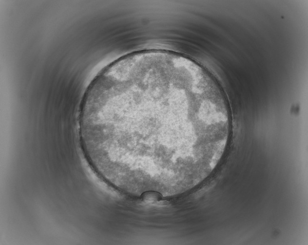 X0000112091133200909151130