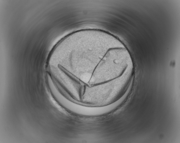 X0000112091134200909151130