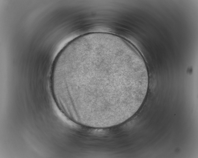 X0000112091139200909151130