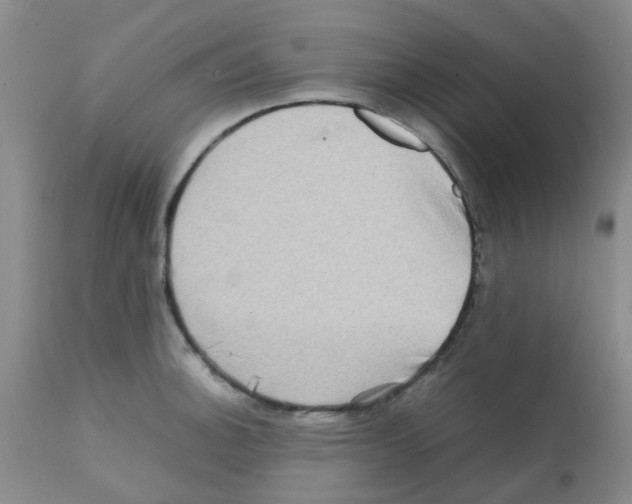 X0000112091140200909151130