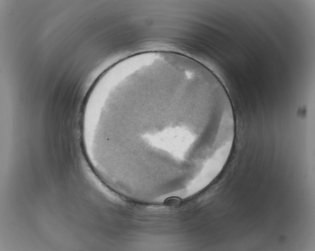 X0000112091142200909151130