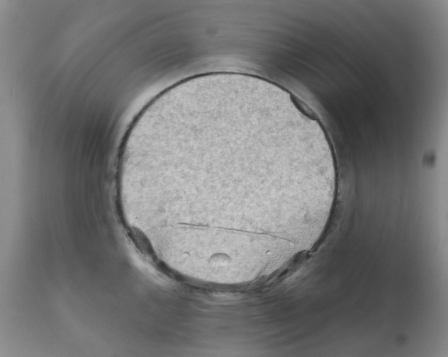 X0000112091144200909151130