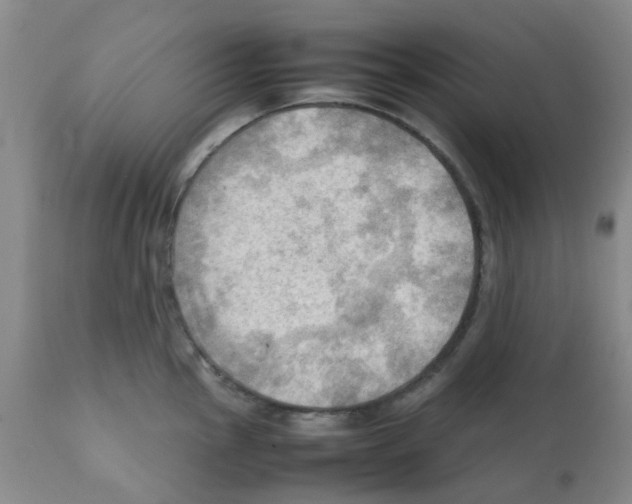 X0000112091145200909151130