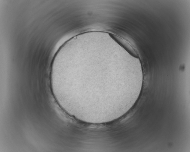 X0000112091146200909151130