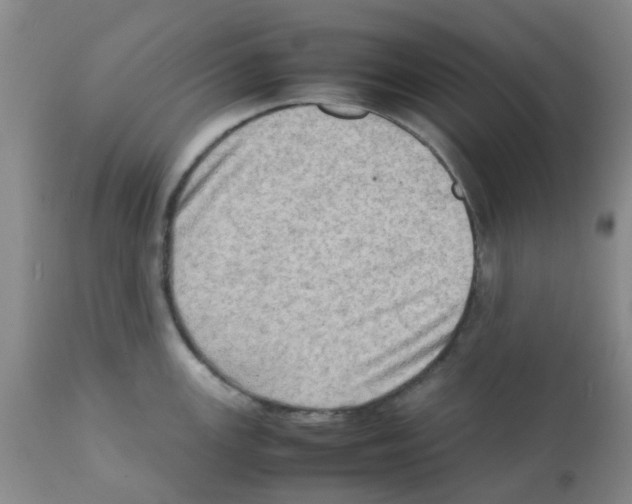 X0000112091147200909151130