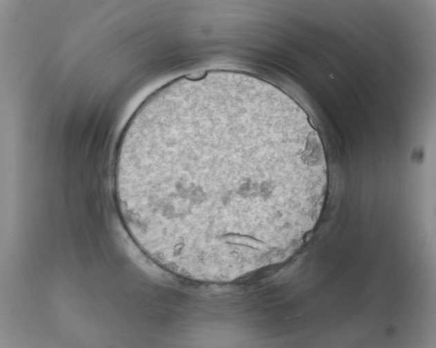 X0000112091148200909151130