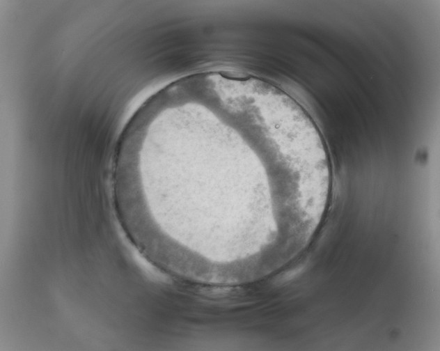 X0000112091149200909151130