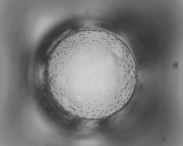X0000112091150200909151130