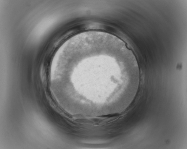 X0000112091151200909151130