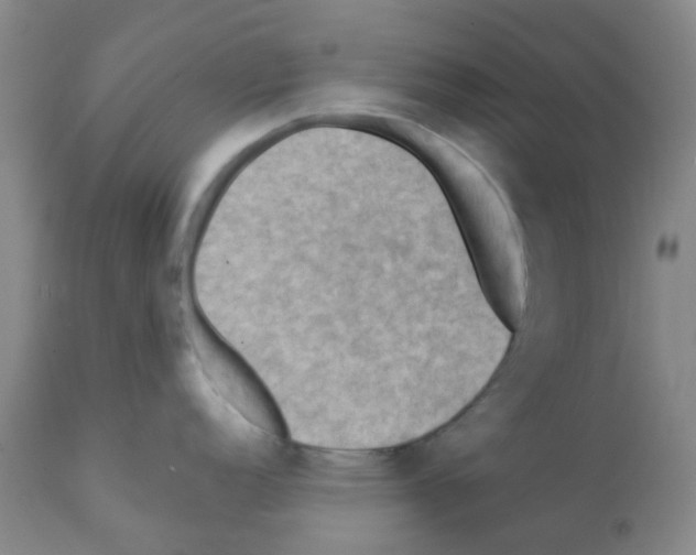 X0000112091152200909151130