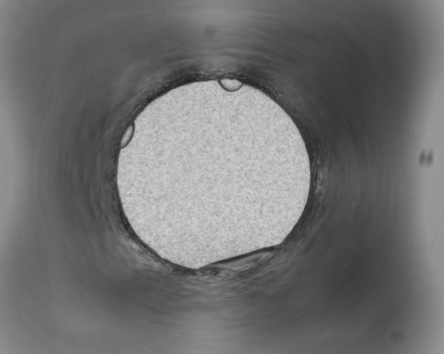 X0000112091153200909151130