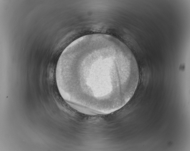 X0000112091154200909151130