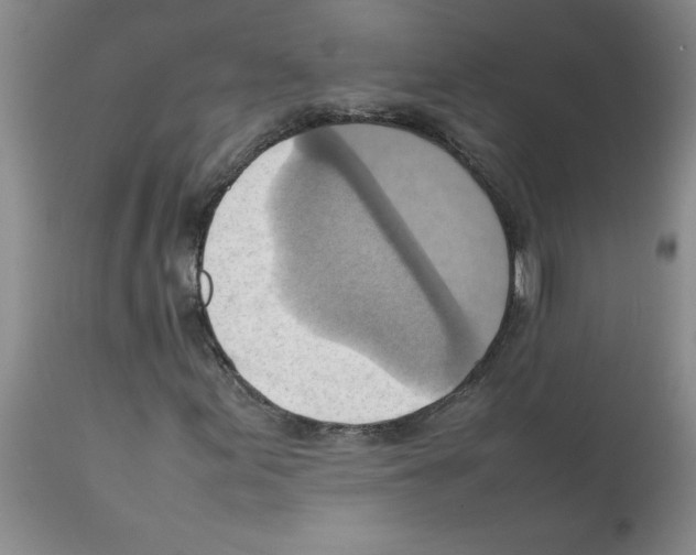 X0000112091155200909151130