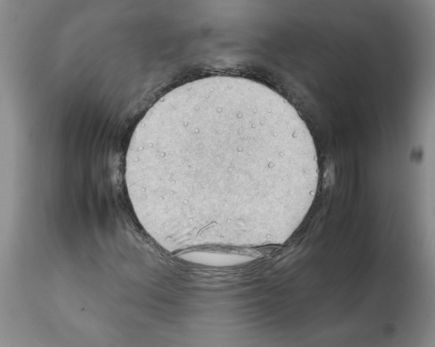 X0000112091156200909151130