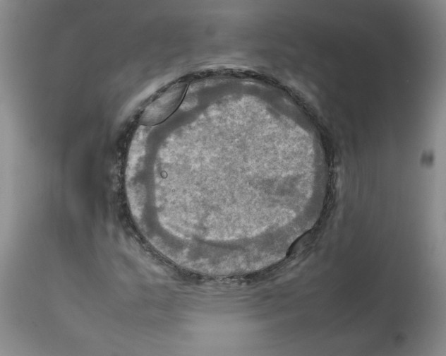 X0000112091159200909151130