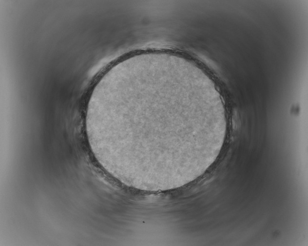 X0000112091160200909151130
