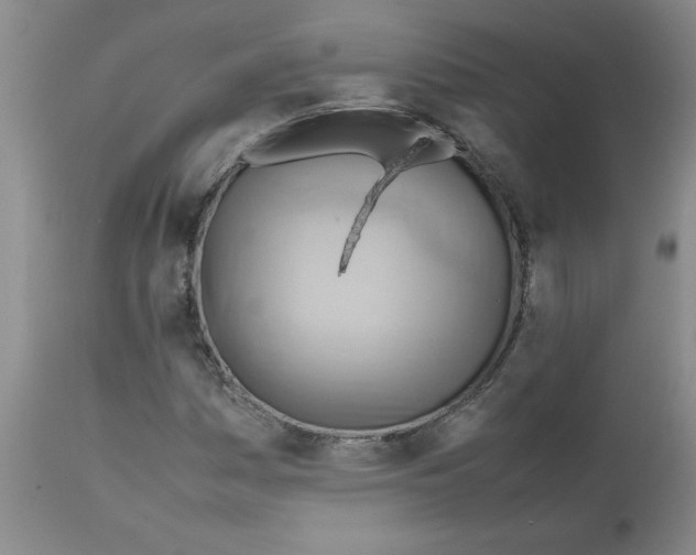 X0000112091161200909151130