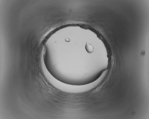 X0000112091165200909151130