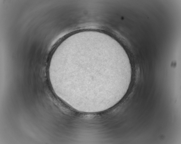 X0000112091166200909151130