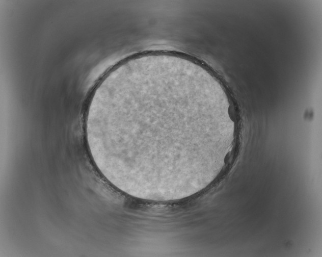 X0000112091167200909151130