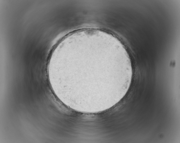 X0000112091168200909151130