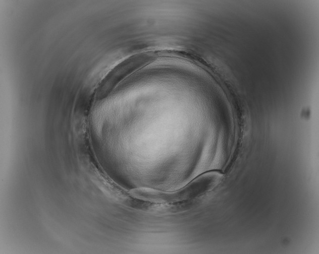 X0000112091169200909151130
