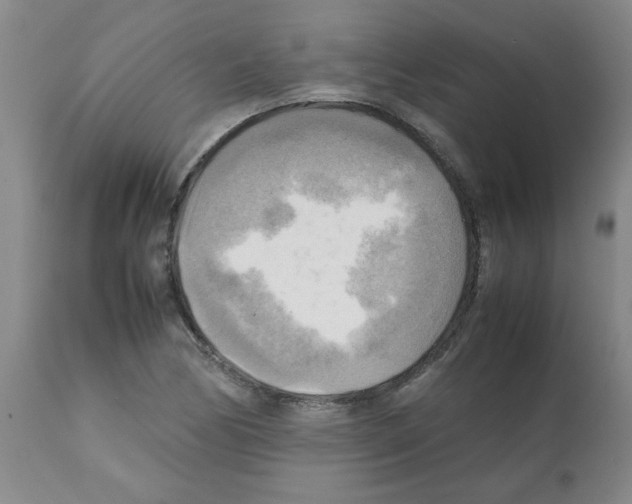 X0000112091170200909151130