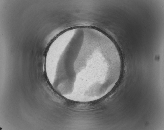 X0000112091171200909151130