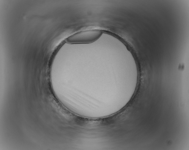 X0000112091173200909151129