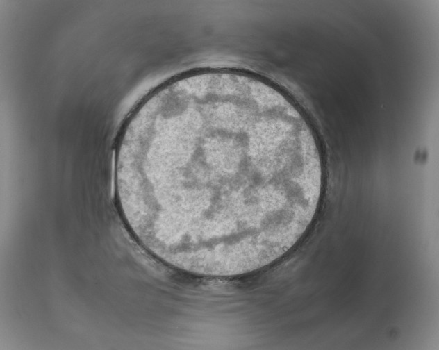X0000112091175200909151129