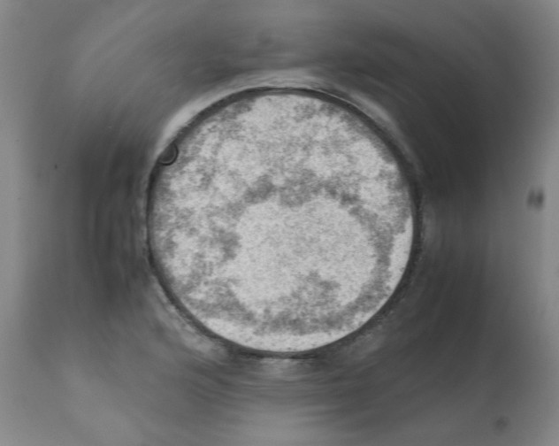 X0000112091176200909151129