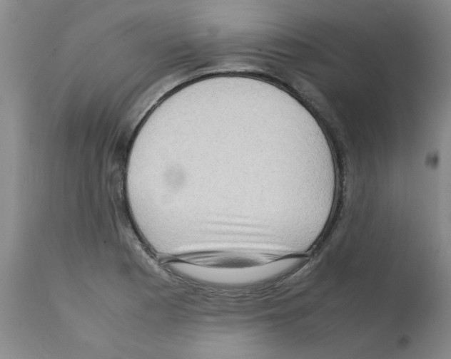 X0000112091177200909151129