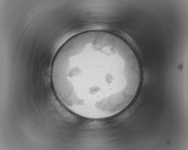 X0000112091178200909151129