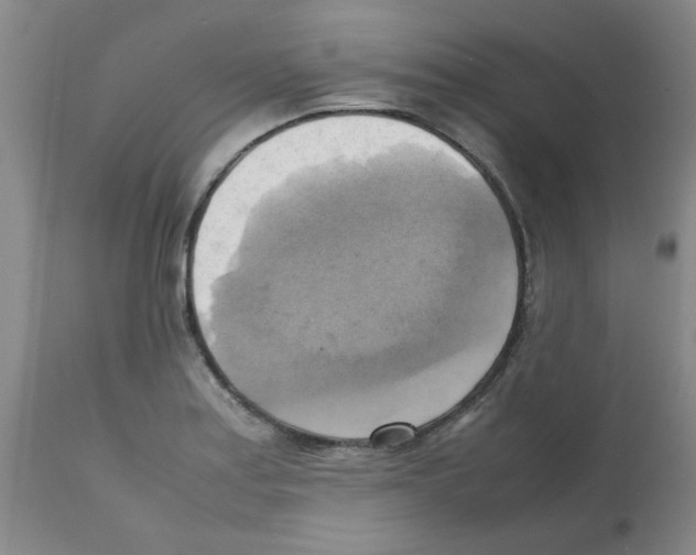 X0000112091179200909151129