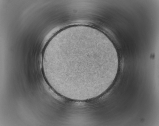 X0000112091180200909151129