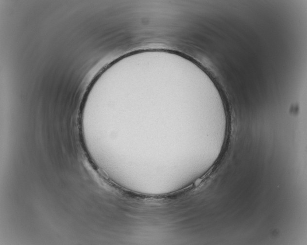 X0000112091181200909151129