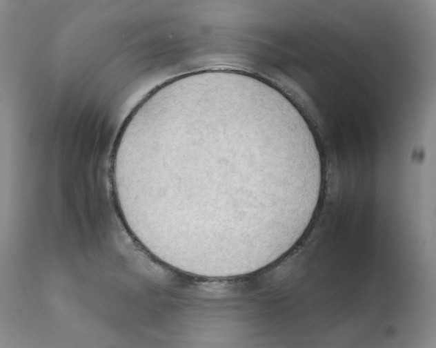 X0000112091182200909151129