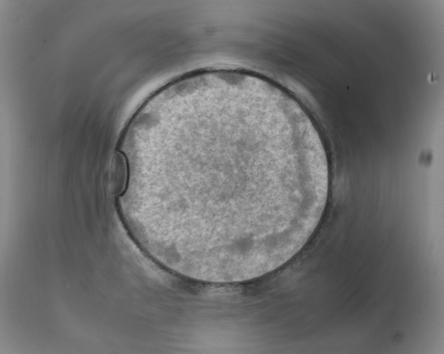 X0000112091183200909151129