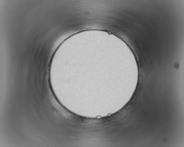 X0000112091187200909151129