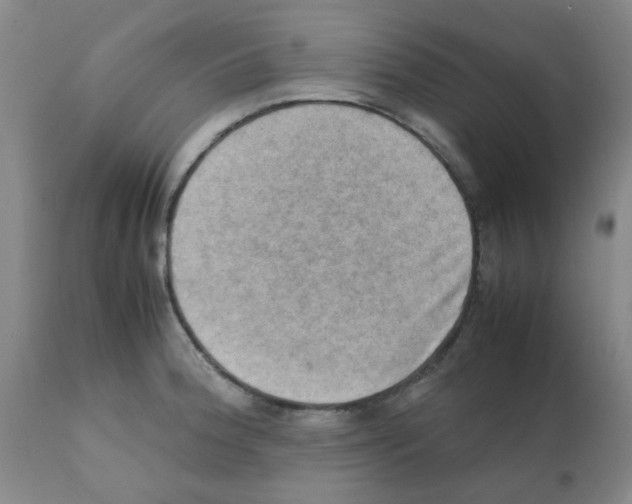 X0000112091188200909151129