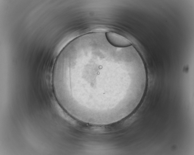 X0000112091194200909151129