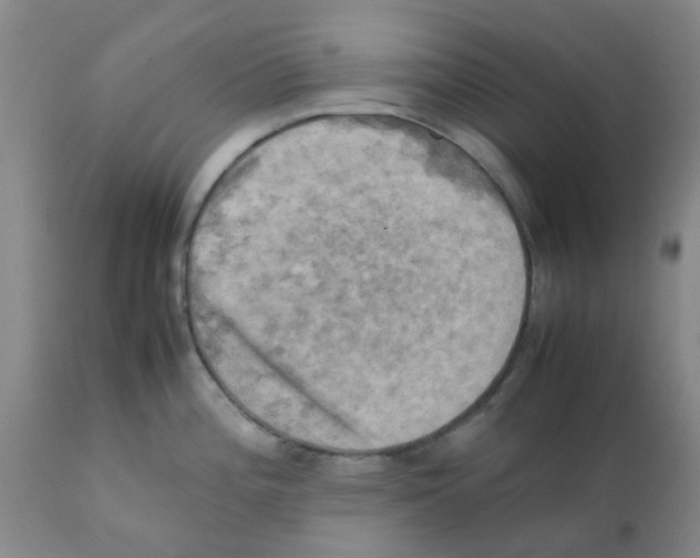 X0000112091196200909151129