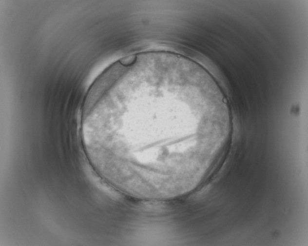 X0000112091198200909151129