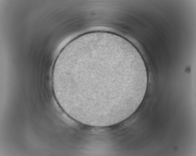 X0000112091199200909151129
