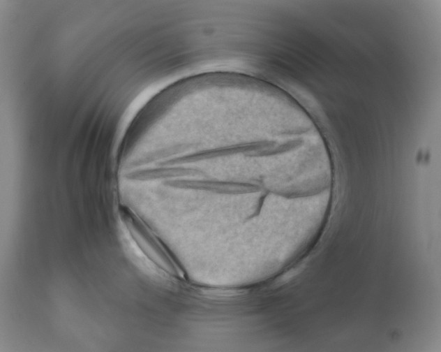 X0000112091200200909151129