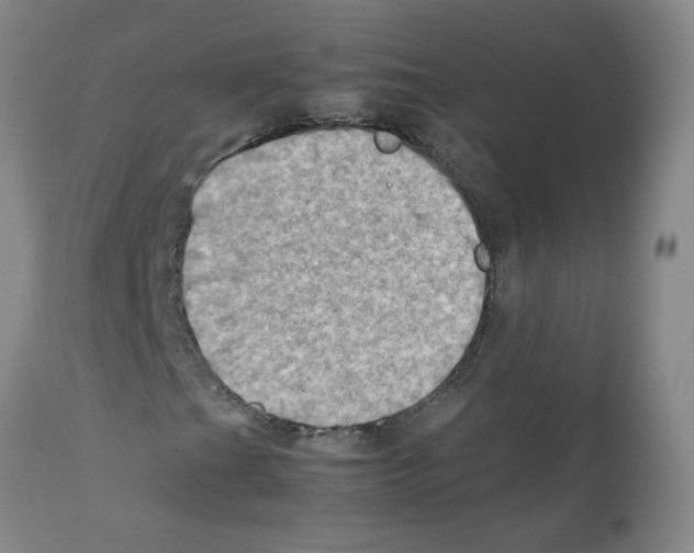 X0000112091201200909151128