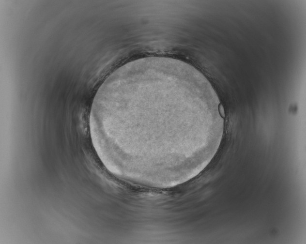 X0000112091202200909151128