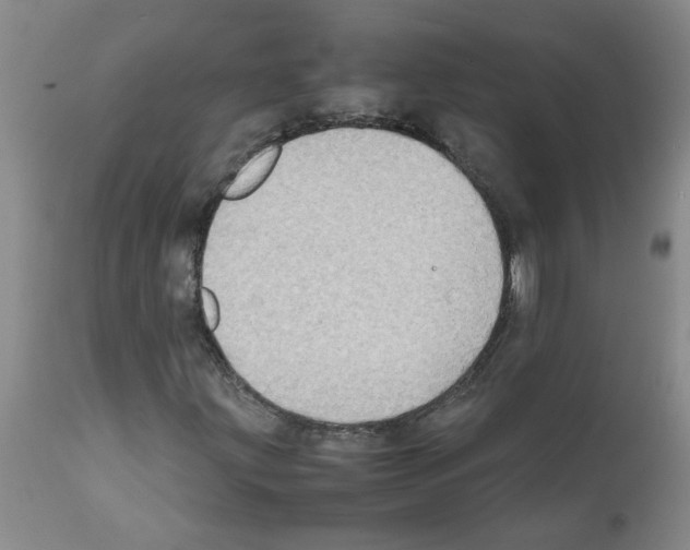 X0000112091203200909151128