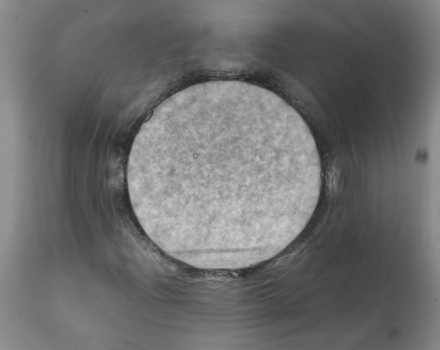 X0000112091204200909151128