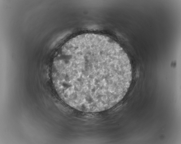 X0000112091205200909151128